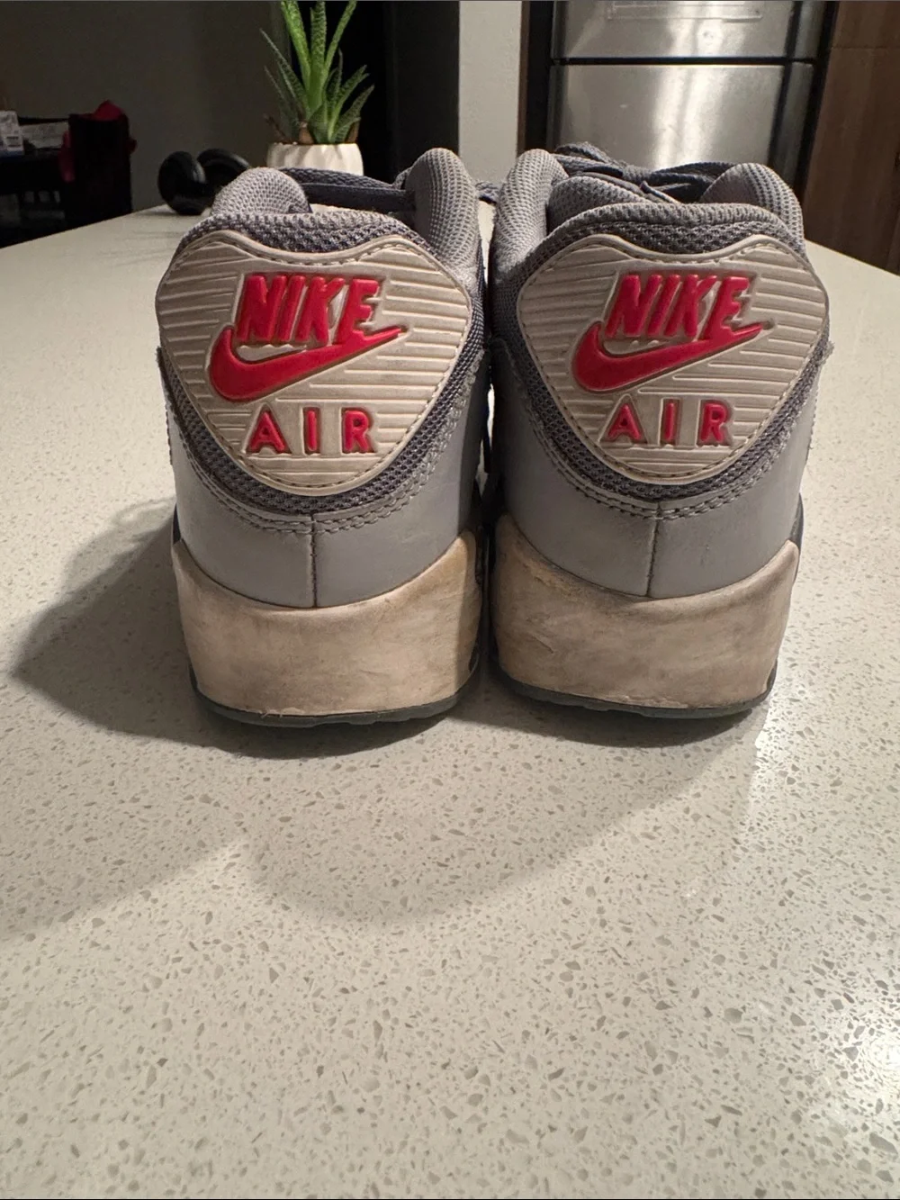 Kids Air Max 90 Mesh GS